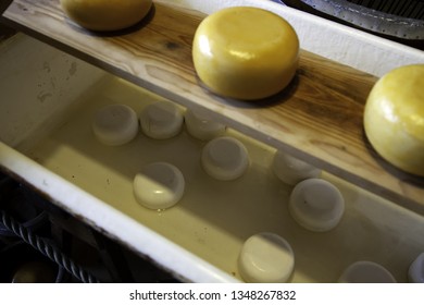 Artisan Edam Cheese, Detail Of Dutch Cheese Making