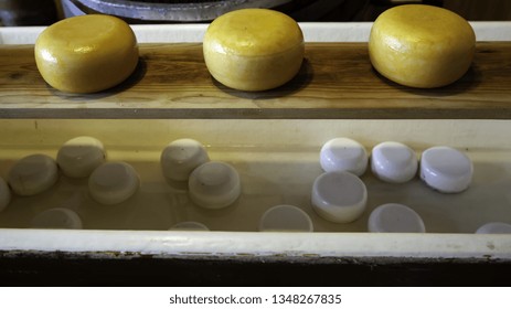 Artisan Edam Cheese, Detail Of Dutch Cheese Making