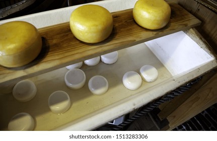 Artisan Edam Cheese, Detail Of Dutch Cheese Making