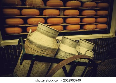 Artisan Edam Cheese, Detail Of Dutch Cheese Making