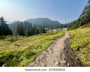 Artist Point Trail Scenery in Summer - Powered by Shutterstock