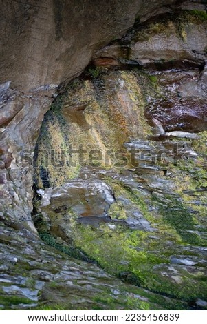 artistic abstract design of green moss on rocks or rock shore on beach of Vancouver shoreline rocks shaped by waves vertical format room for type content earthy environmental backdrop or background 