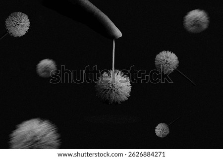 An artistic black and white image featuring several floating dandelion flowers, with one delicately held by a human finger.