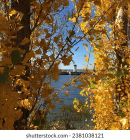 An artistic daytime photo of a small white lighthouse with dark-red tip on the other riverside in the background framed by the tree branches with golden leaves in the foreground. - Powered by Shutterstock