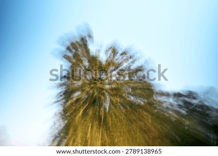 An artistic and highly dynamic abstract conceptual photograph capturing a low angle view looking up at a tall tree canopy meeting a bright clear sky, shot utilizing the Intentional Camera Movement (ICM) technique. The deliberate vertical panning and rapid zooming motion of the lens transform the majestic tree trunk and its green branches into a painterly, blurred canvas defined by sweeping linear streaks, vertical lines, and a dramatic explosive effect. In the center of the frame, the dense green foliage and brown branches slope upwards, dissolving gracefully into the high-contrast bright blue light of the sky above. The smooth upward motion blur creates a powerful ascending distortion that blends the vegetation and the atmosphere into a singular, impressionistic entity, emphasizing a sense of growth, environmental energy, poetic wind motion, and dramatic artistic depth over literal details or sharp digital realism. The resulting image possesses a delicate, fine art texture and a highly sophisticated avant-garde aesthetic that evokes a profound sense of serenity, natural grandeur, and the fleeting, dreamlike essence of a forest landscape. This premium commercial asset is strategically structured with extensive bright negative copy space across the entire upper section, making it exceptionally versatile for high-end editorial layouts, minimalist website backgrounds, decorative art prints, book covers, or creative advertising campaigns seeking a unique, abstract visual narrative.                               