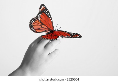 An artistic image of a butterfly on a child;s hand