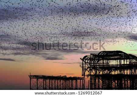 Artistic image with photoshop filter effects of starlings flying in a huge mass in the sunset skies above the ruins of the West Pier of Brighton and Hove in England.