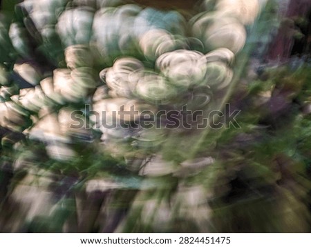 Artistic Impressionist Abstract Background with Soft Floral Textures