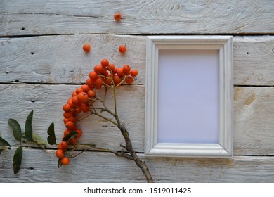 Fotos Imagenes Y Otros Productos Fotograficos De Stock Sobre