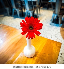 Artistic photo of a red flower in a white vase on a wooden table. Red Gerbera Daisy. Red Gerbera Daisy as decoration in an Italian restaurant. Decoration ideas using natural flowers. - Powered by Shutterstock