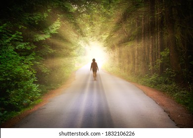 Artistic Render of a Girl Walking on a Road in the Enchanted Rainforest with light shinning. Road located in Tofino, Vancouver Island, BC, Canada.