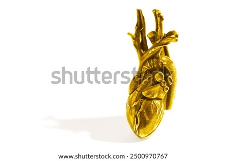 Artistic representation of an anatomical heart model in gold, emphasizing its intricate anatomy and design. Perfect for decorative or educational displays.