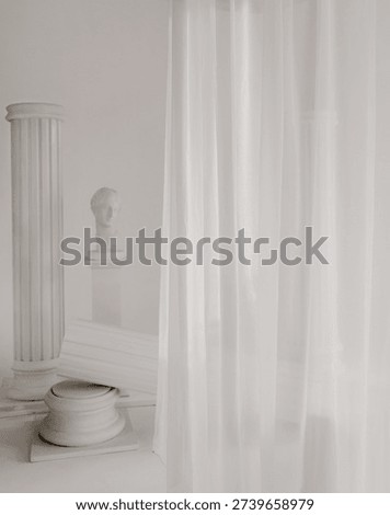 An artistic studio setup featuring white fluted architectural columns, including a small classical plaster bust stands on a pedestal in the background, complemented by soft white fabric drapery hanging from above. Ideal for history concepts, art education, luxury design backgrounds, and theatrical set designs