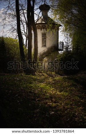 Similar – Kickelhahn Farbfoto