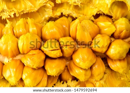 Artocarpus integer, commonly known as chempedak or cempedak is a species of tree in the family Moraceae, and in the same genus as breadfruit and jackfruit. It is native to southeast Asia 