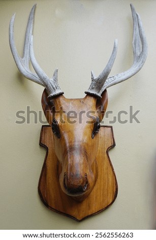 Similar – Image, Stock Photo Wall sculpture deer skull vase with roses