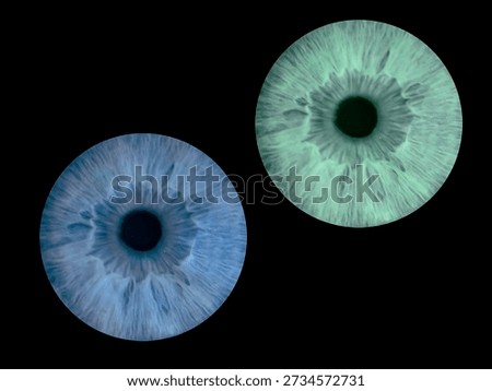Nature’s artwork human iris close-up