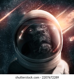 Artwork Of Pedigreed Dog Cosmonaut Flying In Mysterious Endless Space.