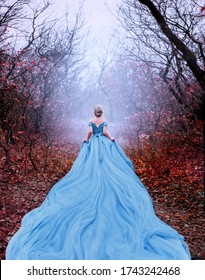 Artwork photo Beautiful silhouette woman princess Cinderella in autumn nature fog mystic forest tree. Luxury magnificent royal blue dress very long train. image glamorous goddess back fairy tale Queen