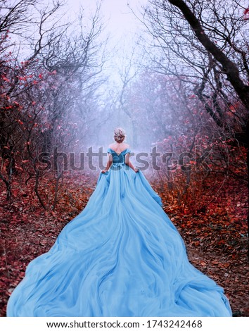Artwork photo Beautiful silhouette woman princess Cinderella in autumn nature fog mystic forest tree. Luxury magnificent royal blue dress very long train. image glamorous goddess back fairy tale Queen