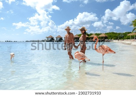 Aruba Beach with pink flamingos at the beach, a couple of men and women on the beach with pink flamingos at Aruba Island Caribbean.