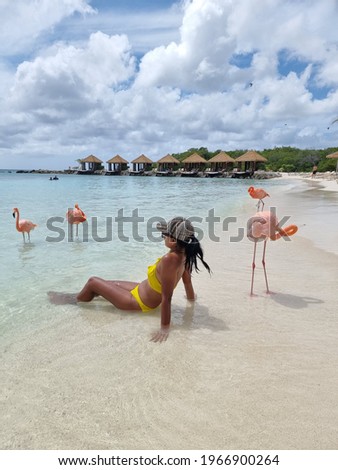 Aruba beach with pink flamingos at the beach, flamingo at the beach in Aruba Island Caribbean. A colorful flamingo at beachfront, woman on the beach mid age 
