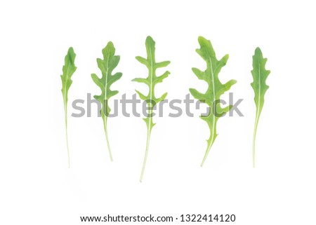 Similar – the green ones Vegetable