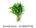 Arugula isolated on white background. A bunch of arugula. High quality photo