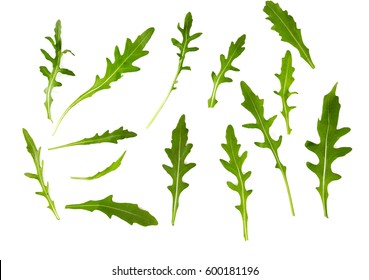 Arugula Isolated On White Background Stock Photo 600181196 | Shutterstock