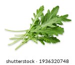 Arugula leaves isolated on white background, top view                       