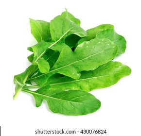 Arugula の画像 写真素材 ベクター画像 Shutterstock