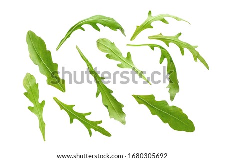 Arugula leaves isolated on white background [[stock_photo]] © 