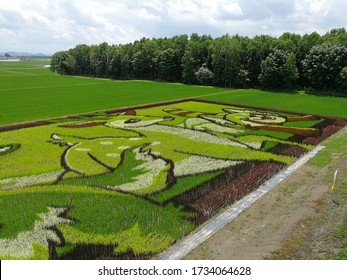 Asahikawa, Japan- July 7, 2017: Tanbo Art Or Rice Paddy Art At Asahikawa In Hokkaido Japan, Rice Field Art In Cute Wildlife Themes.
