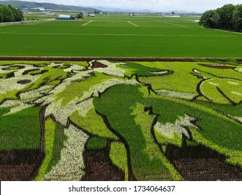 Asahikawa, Japan- July 7, 2017: Tanbo Art Or Rice Paddy Art At Asahikawa In Hokkaido Japan, Rice Field Art In Cute Wildlife Themes.
