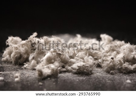 Asbestos