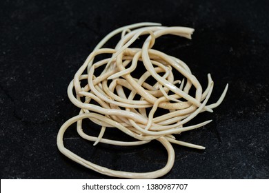 2,927 Roundworm Images, Stock Photos & Vectors | Shutterstock