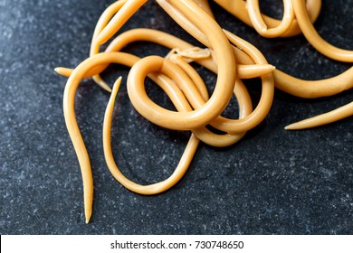 601 Intestinal worms dog Images, Stock Photos & Vectors | Shutterstock