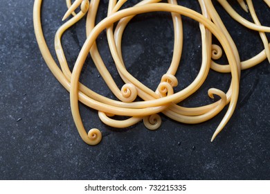 Ascariasis Disease Caused By Parasitic Roundworm Stock Photo 732215335 ...