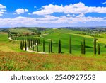 Asciano, Italy. Typical landscape of Val d