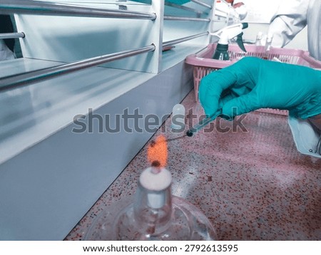 Aseptic flame sterilization of inoculation loop before culture transfer.