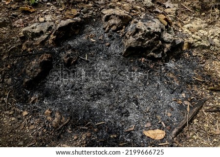 Ash from burning garbage in the garden