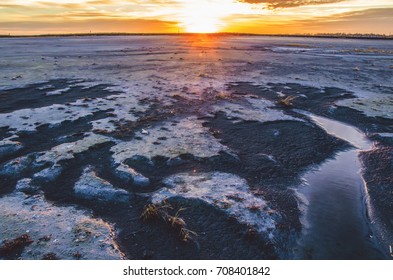 The Ash Pond At Sunset