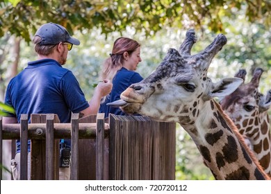 487 North Carolina Zoo Images, Stock Photos & Vectors 