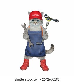 An ashen cat auto mechanic in a red cap is holding car wrenches. White background. Isolated. - Shutterstock ID 2142670195