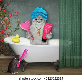 An ashen cat in a blue towel around his head with a heart shaped hairbrush and shampoo takes bath in a bathroom. - Shutterstock ID 2125022825