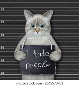An ashen cat criminal has a sign around his neck that says I hate people. Lineup black background. - Shutterstock ID 2065573781