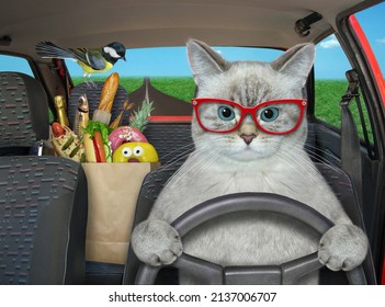 The ashen cat is driving a red car on the highway. A paper bag with food is next to him. - Shutterstock ID 2137006707