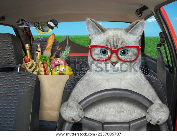 The ashen cat is driving a red car\
on the highway. A paper bag with food is next to\
him.