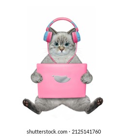 An ashen cat in earphones sits and works with a pink laptop. White background. Isolated. - Shutterstock ID 2125141760