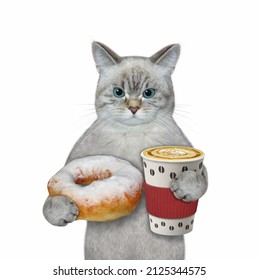 An Ashen Cat Eats A Donut Sprinkled With Powdered Sugar And Drink Coffee. White Background. Isolated.